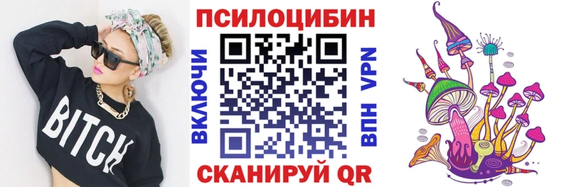купить закладку  Зубцов  ОМГ ОМГ зеркало  Галлюциногенные грибы мицелий 